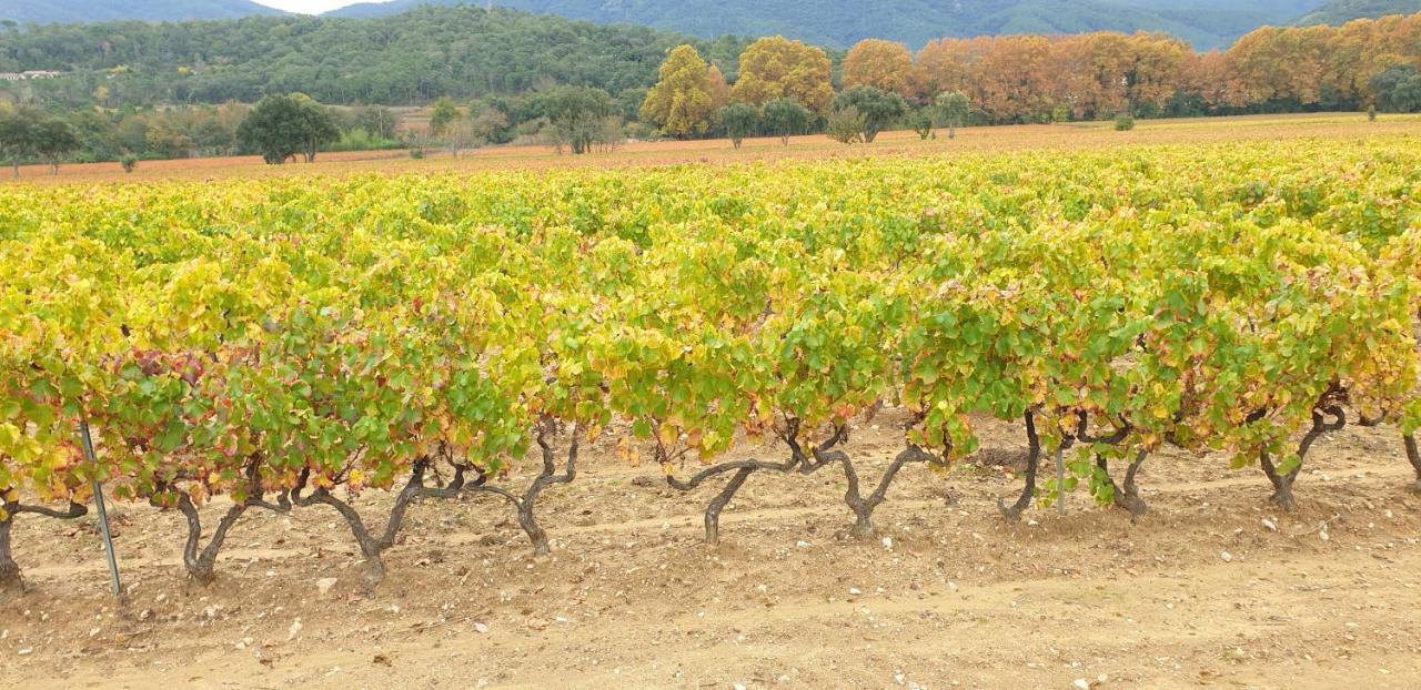 Chambre Independante Avec Jardin Privatif La Londe-les-Maures Luaran gambar